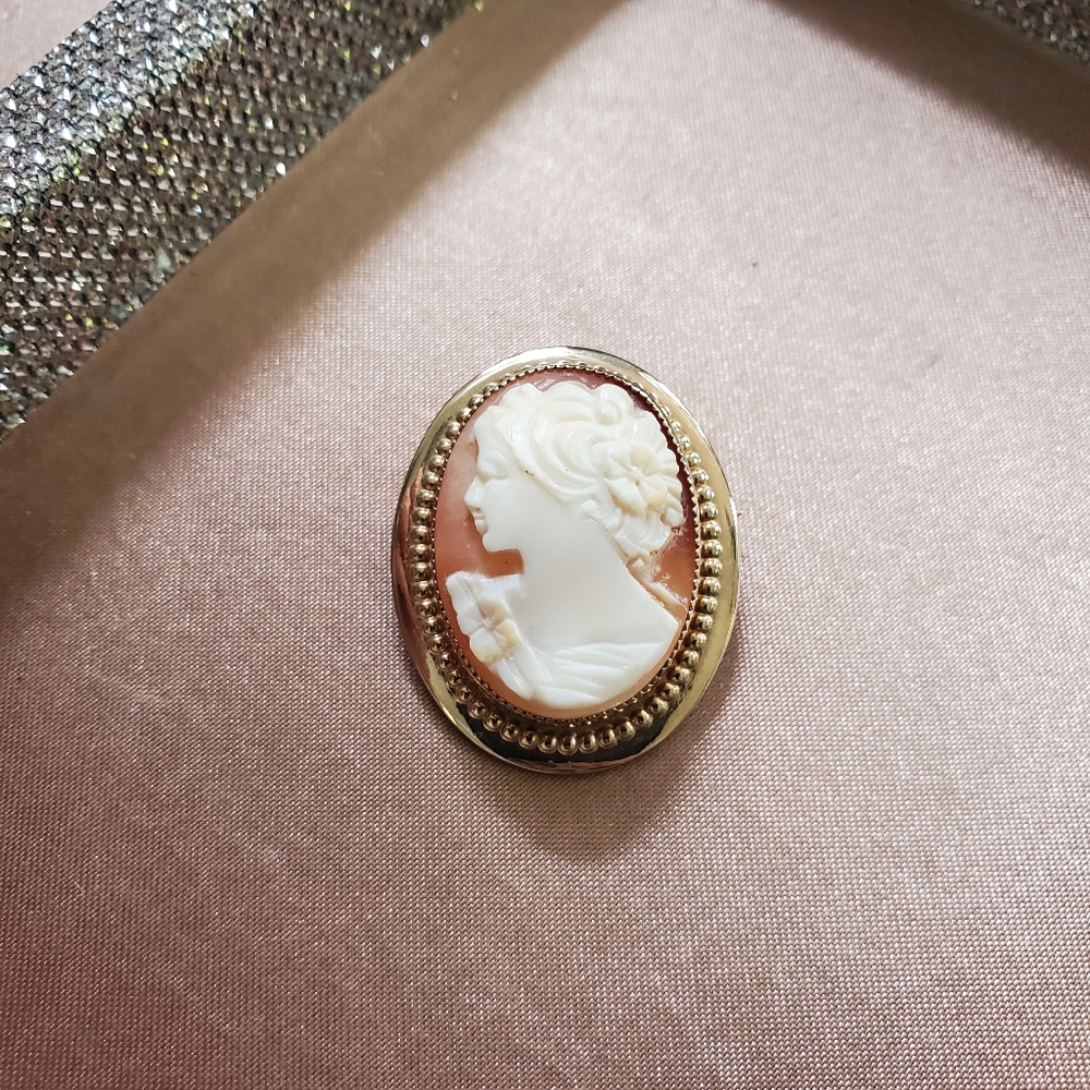 14k Gold Cameo Pendant Pin